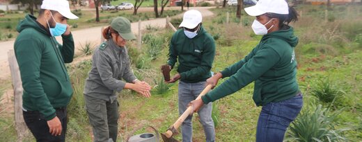 Saving the planet: Africa50 staff plant trees to commemorate Green Week