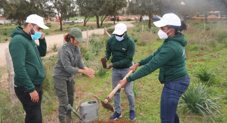 Saving the planet: Africa50 staff plant trees to commemorate Green Week